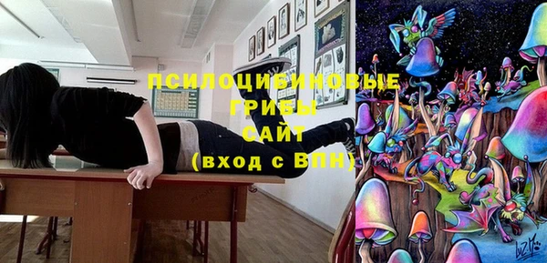 СК Кукмор