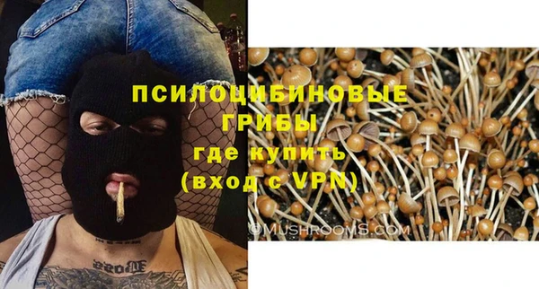 гашиш Кулебаки
