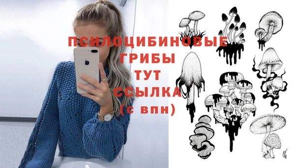 марки lsd Куйбышев