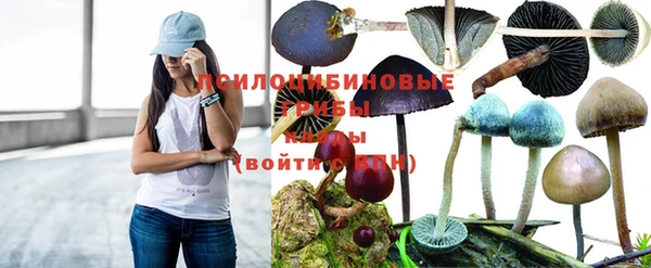 марки lsd Куйбышев
